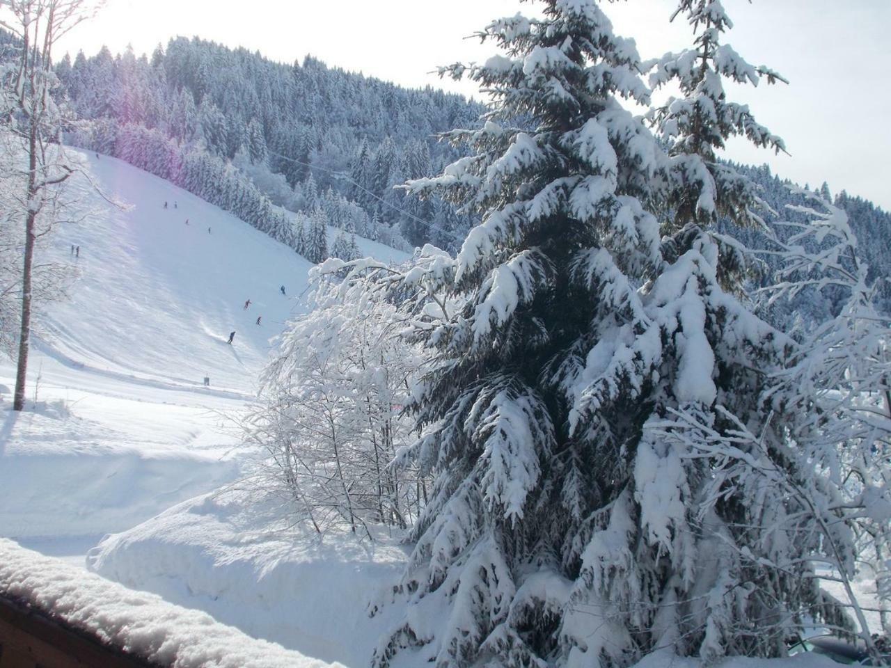 Chalet Jonquille Les Gets Exterior photo
