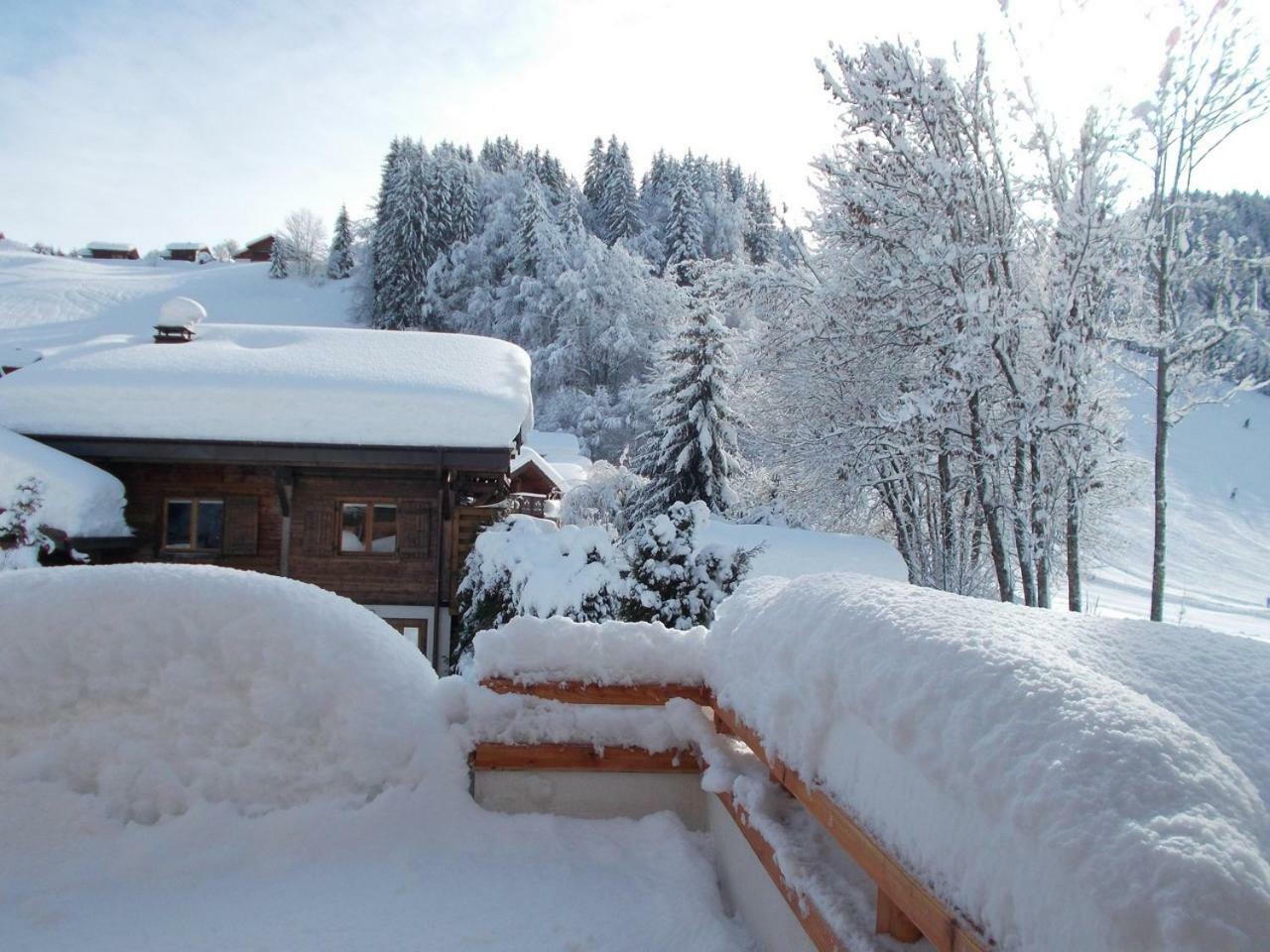 Chalet Jonquille Les Gets Exterior photo