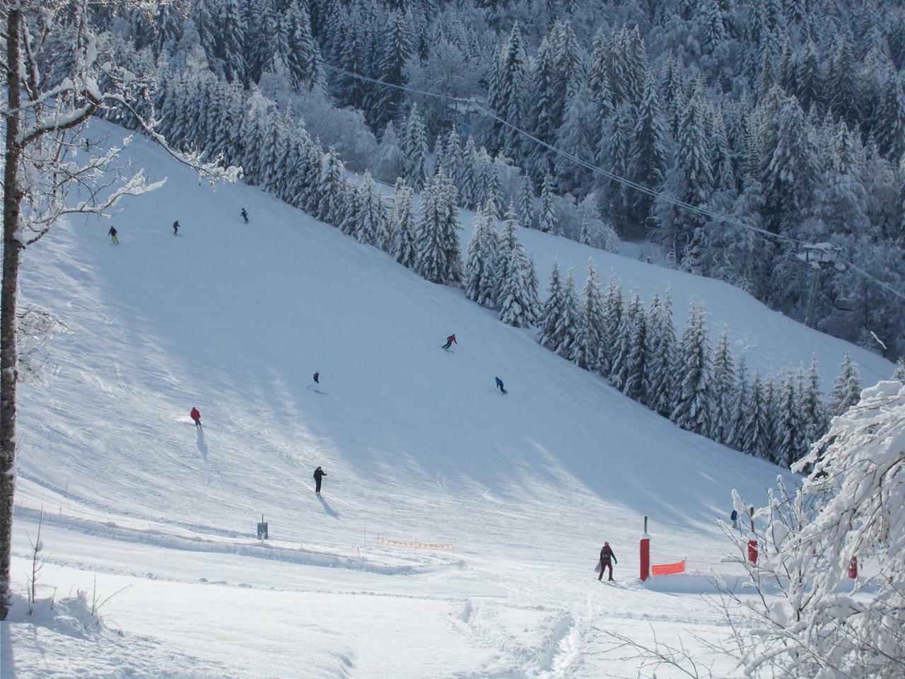 Chalet Jonquille Les Gets Exterior photo